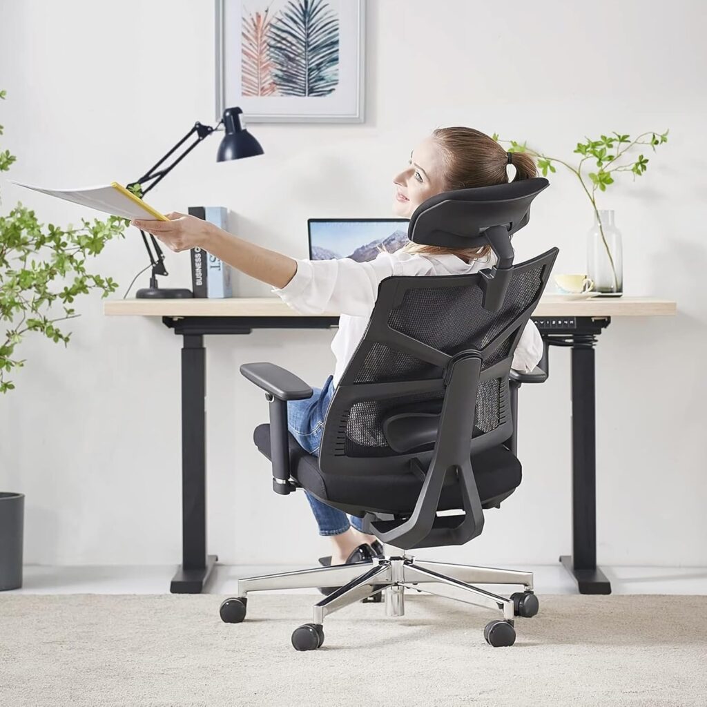 HOLLUDLE Ergonomic Office Chair